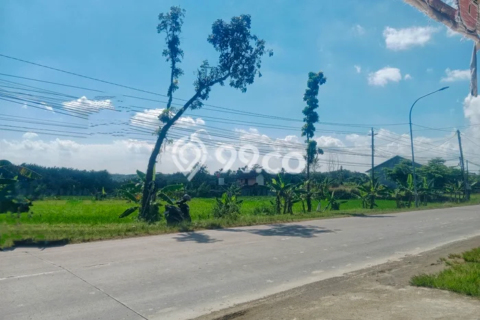 Kavling Tanah Dijual di Gemolong Sragen Spesifikasi 4635m2 Kavling Tanah Dijual di Gemolong Sragen Spesifikasi 4635m2