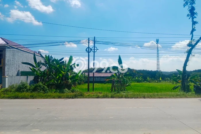 Kavling Tanah Dijual di Gemolong Sragen Spesifikasi 4635m2 Kavling Tanah Dijual di Gemolong Sragen Spesifikasi 4635m2