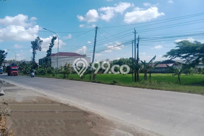 Kavling Tanah Dijual di Gemolong Sragen Spesifikasi 4635m2 Kavling Tanah Dijual di Gemolong Sragen Spesifikasi 4635m2