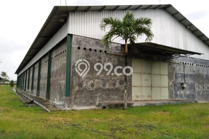 Gudang Dijual di Srono Banyuwangi dengan Luas Bangunan 10737m2 Gudang Dijual di Srono Banyuwangi dengan Luas Bangunan 10737m2