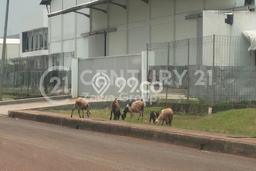 Tanah Kavling Dijual di Bekasi dengan Spesifikasi 17258m2 Tanah Kavling Dijual di Bekasi dengan Spesifikasi 17258m2