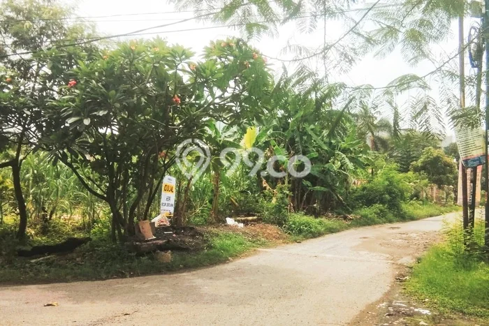 Kavling Tanah Dijual di Medan Barat Medan Spesifikasi 917m2 Kavling Tanah Dijual di Medan Barat Medan Spesifikasi 917m2