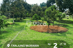 Tanah Kavling di Tanjung Morawa Dijual dengan Luas 6400m2 Tanah Kavling di Tanjung Morawa Dijual dengan Luas 6400m2