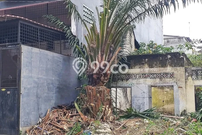 Tanah di Medan Barat, Medan Luas 198m2 Dijual Segera Tanah di Medan Barat, Medan Luas 198m2 Dijual Segera
