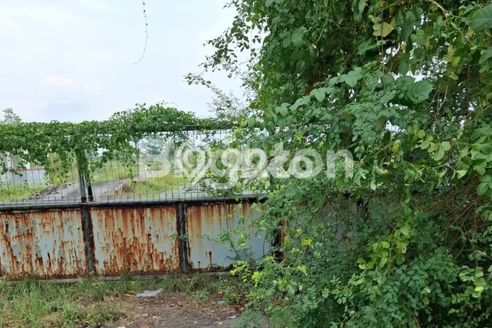 Lahan Disewakan di Wonoayu, Sidoarjo, Luas 48000m2 - Lahan Disewakan di Wonoayu, Sidoarjo, Luas 48000m2 -