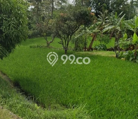 Tanah Murah Sudah SHM Terletak di Beber Cirebon Barat Tanah Murah Sudah SHM Terletak di Beber Cirebon Barat