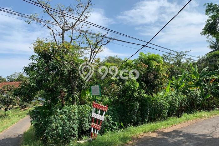 Tanah Murah Sudah SHM Terletak di Beber Cirebon Barat Tanah Murah Sudah SHM Terletak di Beber Cirebon Barat