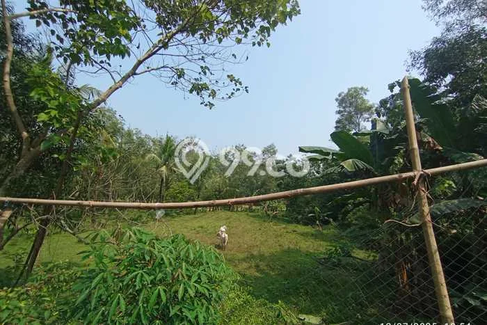 Tanah Murah Kawasan Industri bisa untuk Perumahan Sudah SHM Hanya 5 Menit Dari Giic Deltamas Terletak di Cikarang Bekasi Tanah Murah Kawasan Industri bisa untuk Perumahan Sudah SHM Hanya 5 Menit Dari Giic Deltamas Terletak di Cikarang Bekasi