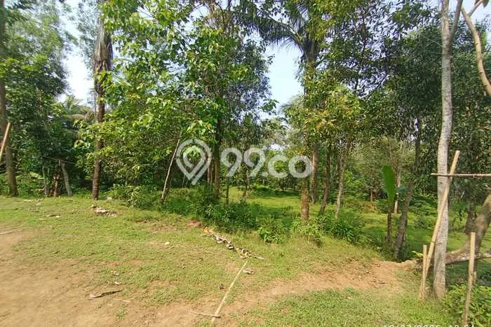 Tanah Murah Kawasan Industri bisa untuk Perumahan Sudah SHM Hanya 5 Menit Dari Giic Deltamas Terletak di Cikarang Bekasi Tanah Murah Kawasan Industri bisa untuk Perumahan Sudah SHM Hanya 5 Menit Dari Giic Deltamas Terletak di Cikarang Bekasi