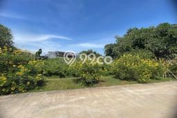 Tanah Murah 55X92 Status SHM di Gunung Sindur Bogor Tanah Murah 55X92 Status SHM di Gunung Sindur Bogor