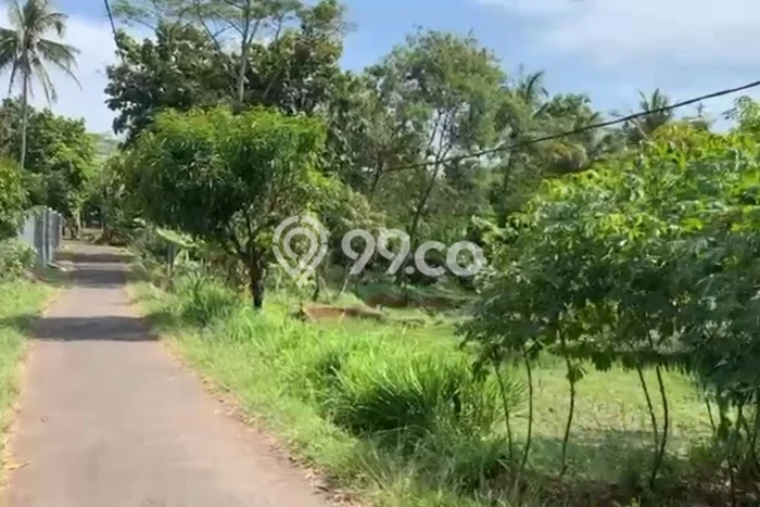 Tanah Murah Sudah SHM Terletak di Beber Cirebon Barat Tanah Murah Sudah SHM Terletak di Beber Cirebon Barat