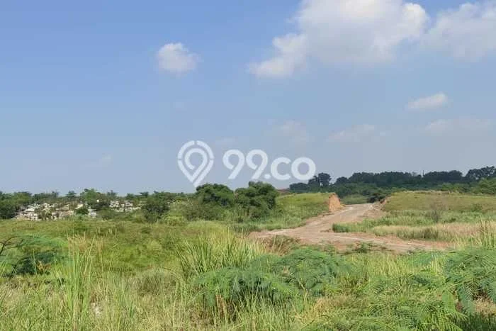 HARGA TERBAIK! Tanah di Karawang Barat, Luas 6000m2m², Akses Jalan Raya, Area Berkembang HARGA TERBAIK! Tanah di Karawang Barat, Luas 6000m2m², Akses Jalan Raya, Area Berkembang