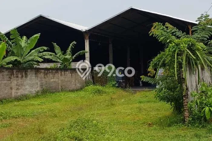 Gudang Disewakan di Kawasan Ramai Polokarto, Sukoharjo Gudang Disewakan di Kawasan Ramai Polokarto, Sukoharjo