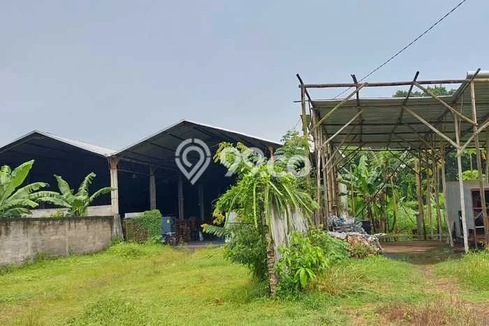 Gudang Disewakan di Kawasan Ramai Polokarto, Sukoharjo Gudang Disewakan di Kawasan Ramai Polokarto, Sukoharjo