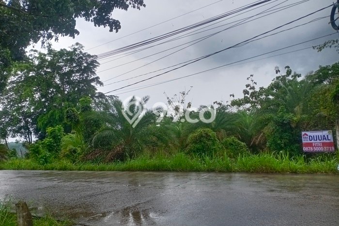 Tanah di Ranca Bungur, Luas 1500m², Area Strategis, Ideal untuk Perumahan Tanah di Ranca Bungur, Luas 1500m², Area Strategis, Ideal untuk Perumahan
