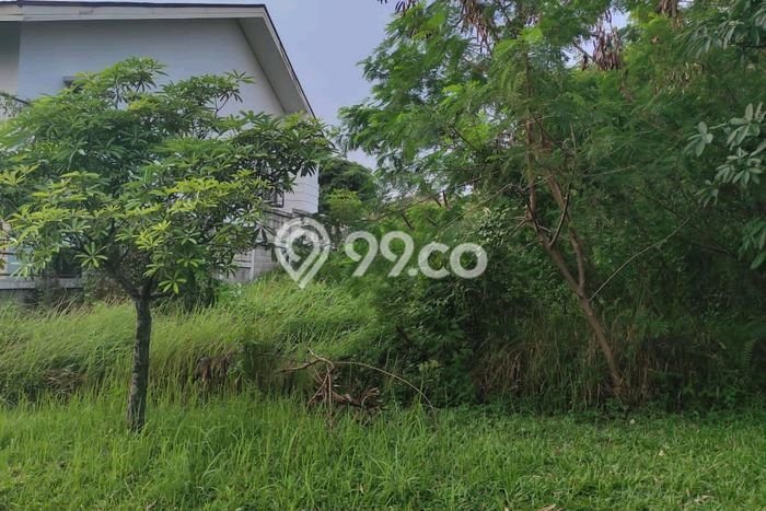 Jarang Ada! Tanah di Babakan Madang Punya Luas 525m2 PPJB Jarang Ada! Tanah di Babakan Madang Punya Luas 525m2 PPJB