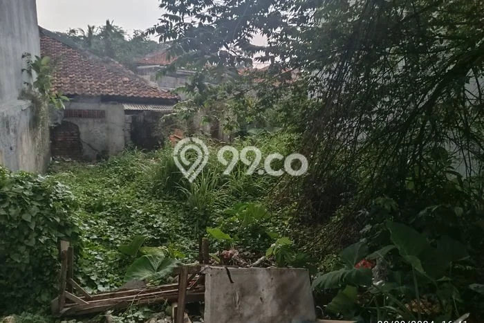 Tanah Disewakan Lokasi Bogor Seluas 171m2 Strategis dan Aman Tanah Disewakan Lokasi Bogor Seluas 171m2 Strategis dan Aman