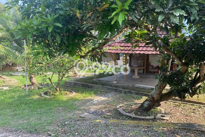 Hunian Eksklusif Siap Huni LT 1500m2 di Pandeglang, Pandeglang Hunian Eksklusif Siap Huni LT 1500m2 di Pandeglang, Pandeglang