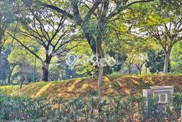 Tanah Kavling di Kelapa Gading Dijual dengan Luas 894m2 Tanah Kavling di Kelapa Gading Dijual dengan Luas 894m2