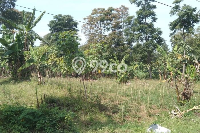 Tanah di Ngamprah, Bandung Barat Luas 6000m2 Dijual Segera Tanah di Ngamprah, Bandung Barat Luas 6000m2 Dijual Segera