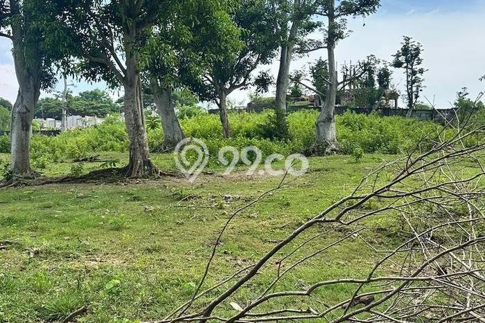 Tanah Area Berkembang di Pecatu, Luas 13m², Akses ke Fasilitas Umum, Akses Pecatu, Badung, Badung Tanah Area Berkembang di Pecatu, Luas 13m², Akses ke Fasilitas Umum, Akses Pecatu, Badung, Badung