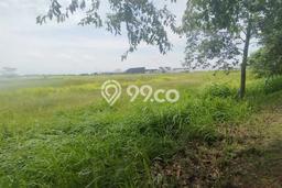 Tanah Dijual Area Strategis di Pantai Indah Kapuk 2 Jakarta Utara 22118m2 Tanah Dijual Area Strategis di Pantai Indah Kapuk 2 Jakarta Utara 22118m2