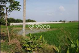Tanah Strategis Dijual di Karawang Barat Karawang 57508m2 Tanah Strategis Dijual di Karawang Barat Karawang 57508m2