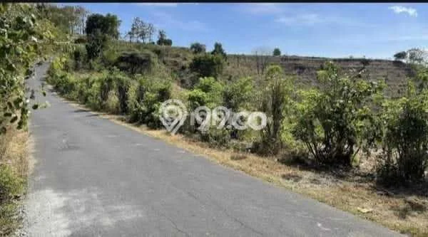 Untuk Dijual Tanah di Sekotong Lombok Barat Luas 15450m2 SHM Untuk Dijual Tanah di Sekotong Lombok Barat Luas 15450m2 SHM