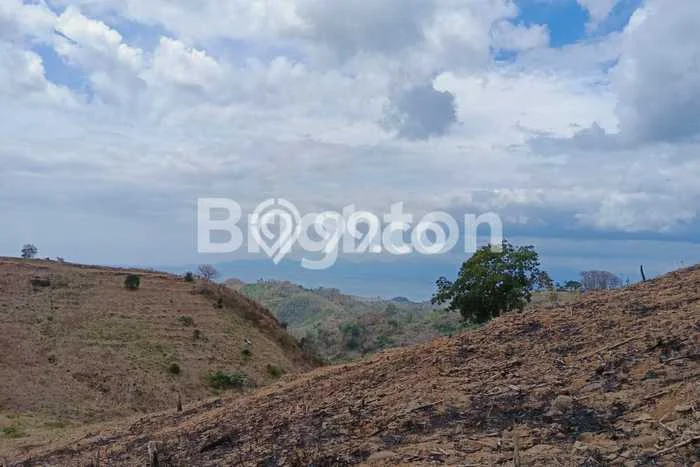 Untuk Dijual Tanah di Sekotong Lombok Barat Luas 15450m2 SHM Untuk Dijual Tanah di Sekotong Lombok Barat Luas 15450m2 SHM