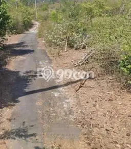 Tanah Dijual Lokasi Strategis di Badung dengan Luas 10000m2 Tanah Dijual Lokasi Strategis di Badung dengan Luas 10000m2