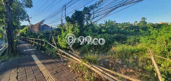 Tanah Investasi Dijual di Badung Punya Luas 5000m2 Tanah Investasi Dijual di Badung Punya Luas 5000m2