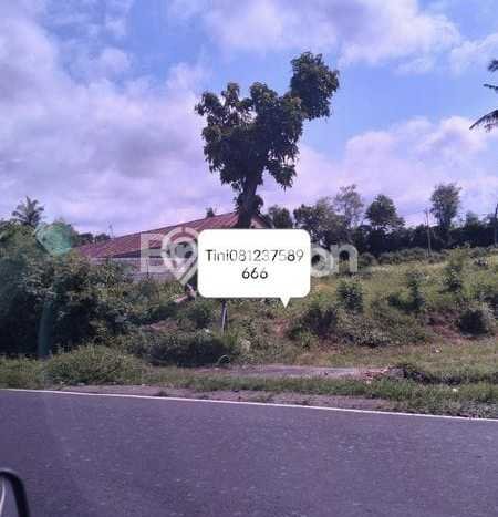 Lahan Dijual Lokasi Strategis di Buleleng dengan Luas 2000m2 Lahan Dijual Lokasi Strategis di Buleleng dengan Luas 2000m2