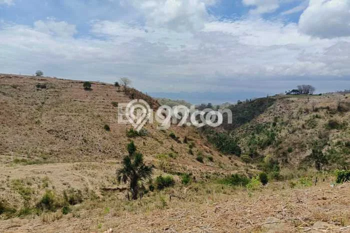 Untuk Dijual Tanah di Sekotong Lombok Barat Luas 15450m2 SHM Untuk Dijual Tanah di Sekotong Lombok Barat Luas 15450m2 SHM
