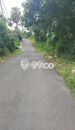 Kavling Tanah di Gianyar Dijual Luas 5290m2 Legalitas SHM Kavling Tanah di Gianyar Dijual Luas 5290m2 Legalitas SHM