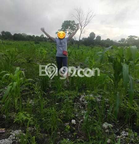 Tanah untuk Dijual di Sumbawa Sumbawa Luas 74767m2 Tanah untuk Dijual di Sumbawa Sumbawa Luas 74767m2