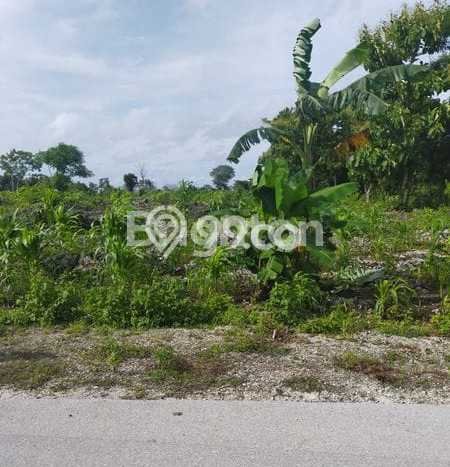 Tanah untuk Dijual di Sumbawa Sumbawa Luas 74767m2 Tanah untuk Dijual di Sumbawa Sumbawa Luas 74767m2