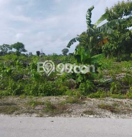 Tanah untuk Dijual di Sumbawa Sumbawa Luas 74767m2 Tanah untuk Dijual di Sumbawa Sumbawa Luas 74767m2