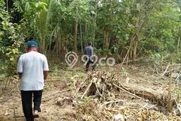 Tanah Strategis Dijual di Godean Sleman 1750m2 Tanah Strategis Dijual di Godean Sleman 1750m2