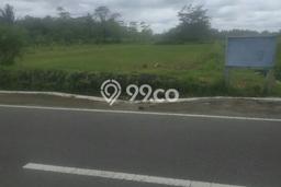 Lahan Kosong Dijual di Sleman dengan Area 1098m2 Lahan Kosong Dijual di Sleman dengan Area 1098m2