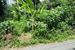 Tanah di Depok, Sleman Luas 1000m2 Dijual Segera Tanah di Depok, Sleman Luas 1000m2 Dijual Segera