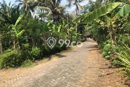 Tanah Kavling di Minggir Dijual dengan Luas 983m2 Tanah Kavling di Minggir Dijual dengan Luas 983m2
