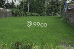 Tanah Kavling di Cangkringan Dijual dengan Luas 1392m2 Tanah Kavling di Cangkringan Dijual dengan Luas 1392m2