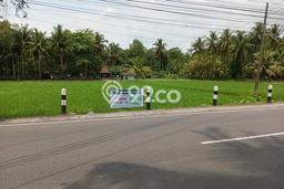Lahan Dijual Lokasi Lendah, Kulon Progo dengan Luas Tanah 2634m2 dan Status SHM Lahan Dijual Lokasi Lendah, Kulon Progo dengan Luas Tanah 2634m2 dan Status SHM