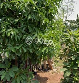 Tanah Dijual Area Strategis di Kav DKI Jakarta Barat 287m2 Tanah Dijual Area Strategis di Kav DKI Jakarta Barat 287m2