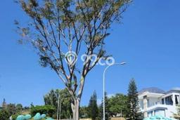 Kavling Tanah Dijual di Pandaan Pasuruan Spesifikasi 456m2 Kavling Tanah Dijual di Pandaan Pasuruan Spesifikasi 456m2
