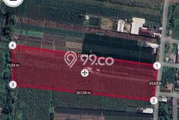 Untuk Dijual Tanah di Jetis Mojokerto Luas 18000m2 SHM Untuk Dijual Tanah di Jetis Mojokerto Luas 18000m2 SHM