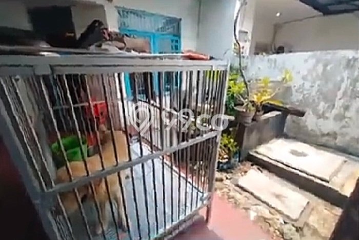 For Sale Rumah 3 Kamar Lokasi Ideal Nyaman dan Strategis di Cengkareng For Sale Rumah 3 Kamar Lokasi Ideal Nyaman dan Strategis di Cengkareng