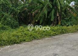 Tanah Kavling Dijual di Badung dengan Spesifikasi 1070m2 Tanah Kavling Dijual di Badung dengan Spesifikasi 1070m2