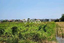 Jarang Ada! Tanah Kavling Disewakan di Badung 4725m2 Jarang Ada! Tanah Kavling Disewakan di Badung 4725m2