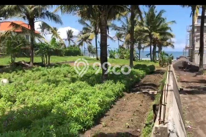Jarang Ada! Tanah di Kediri Punya Luas 2000m2 SHM Jarang Ada! Tanah di Kediri Punya Luas 2000m2 SHM